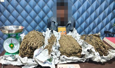 Perburuan Tuntas! Satresnarkoba Polres Aceh Barat Bekuk DPO Narkotika, 3,1 Kilogram Ganja Disita