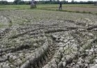 Siaga Penuh Hadapi Kemarau Ekstrem Akibat El Nino! Instansi Kabupaten & Provinsi Diminta Bergerak Cepat Demi Keselamatan Warga Way Kanan   