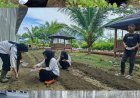 ABP LPKA Banda Aceh Praktik Bertani, Panen Sawi dan Tanam Kangkung