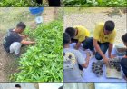 Anak Binaan LPKA Banda Aceh Belajar Bertani, Panen Kangkung dan Semai Bunga Kol