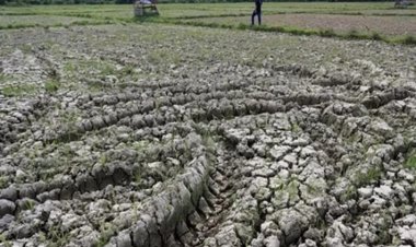 Siaga Penuh Hadapi Kemarau Ekstrem Akibat El Nino! Instansi Kabupaten & Provinsi Diminta Bergerak Cepat Demi Keselamatan Warga Way Kanan   