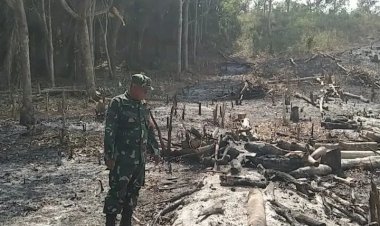 Karhutla di Kampung Mulya Jaya! Lahan 1,5 Hektare Bekas Kebun Karet Terbakar — Babinsa & Warga Sigap Padamkan!