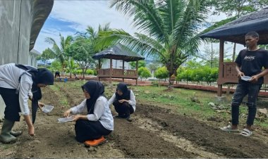 ABP LPKA Banda Aceh Praktik Bertani, Panen Sawi dan Tanam Kangkung