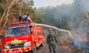 BABINSA DAN DAMKAR BERSINERGI ATASI KEBAKARAN LAHAN, DANDIM 0427/WAY KANAN IMBAU WARGA TAK BAKAR LAHAN