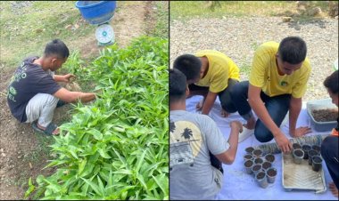Anak Binaan LPKA Banda Aceh Belajar Bertani, Panen Kangkung dan Semai Bunga Kol