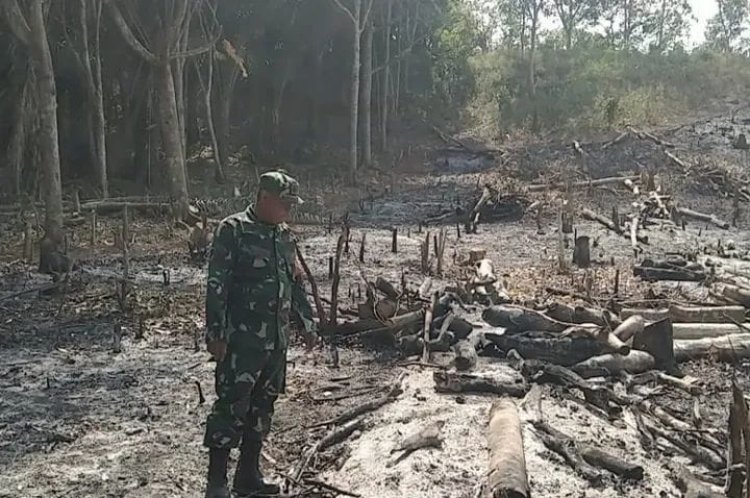 Karhutla di Kampung Mulya Jaya! Lahan 1,5 Hektare Bekas Kebun Karet Terbakar — Babinsa & Warga Sigap Padamkan!