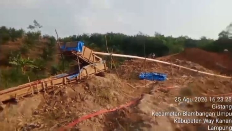 Penambangan Emas Tanpa Izin di Bukit Jambi Kembali Beroperasi dan Luasi 2 Hektar Lahan