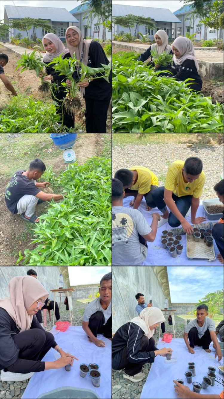 Anak Binaan LPKA Banda Aceh Belajar Bertani, Panen Kangkung dan Semai Bunga Kol