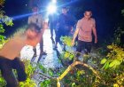 Kapolsek Idi Tunong Turun Tangan Evakuasi Pohon Tumbang yang Tutup Akses Jalan
