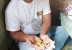 Diduga Marak Tambang Emas Ilegal di Bukit Jambi, Warga Sebut Darwis sebagai Pemiliknya