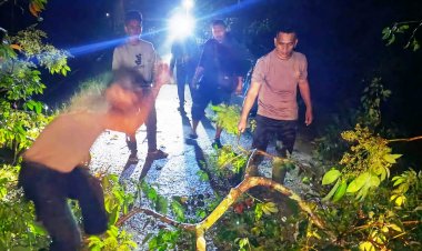 Kapolsek Idi Tunong Turun Tangan Evakuasi Pohon Tumbang yang Tutup Akses Jalan