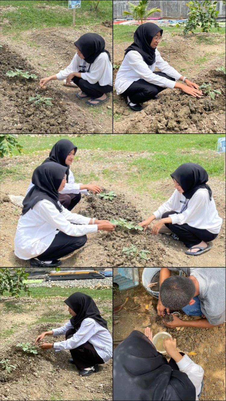 Anak Binaan LPKA Banda Aceh Belajar Bertani melalui Penanaman Bunga Telang