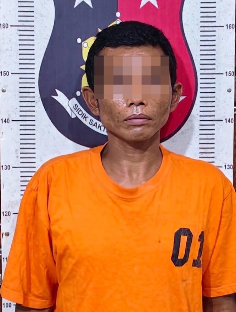 Numpang Tinggal di Warung, Seorang Residivis Diduga Gondol Dua HP Dibekuk Polsek Umpu Semenguk di OKU Timur