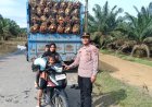 Kapolsek Tenggulun Intensifkan Pemantauan Banjir, Akses Jalan Semadam–Tamiang Hulu Terputus