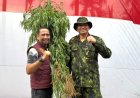 Polda Aceh Berhasil Musnahkan 18 Hektare Ladang Ganja di Aceh Utara