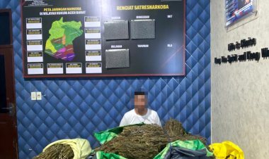 Tim Opsnal Satresnarkoba Aceh Barat Sita 15 Kilogram Ganja di Gunong Meuh