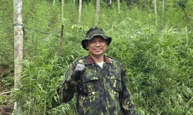 Brigjen Pol. Dedy Tabrani Tegaskan Perang terhadap Narkoba, BNNP Aceh Musnahkan Ladang Ganja 18 Hektare