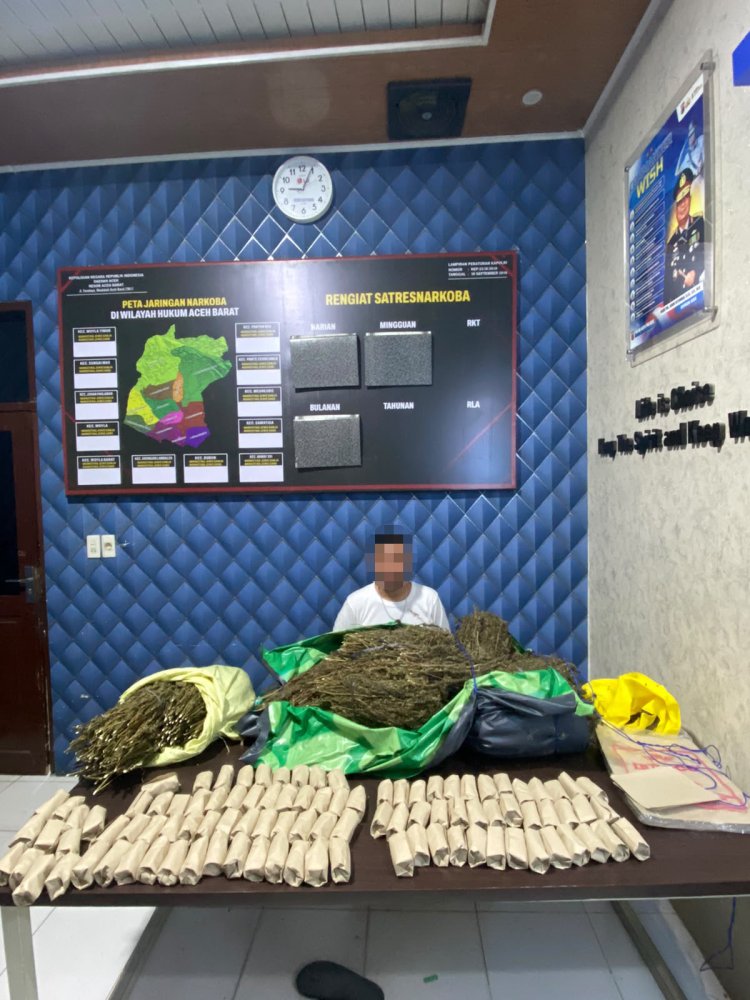 Tim Opsnal Satresnarkoba Aceh Barat Sita 15 Kilogram Ganja di Gunong Meuh