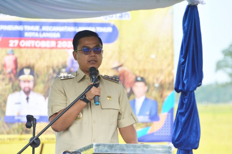 Wujudkan Swasembada Pangan Berkelanjutan, Pemerintah Aceh dan Pemko Langsa Panen Raya Padi Tahun 2026
